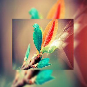 美女131入口视频
