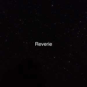 美女131入口视频
