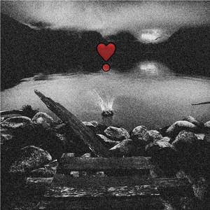 美女131入口视频
